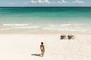 Catalonia Royal La Romana - All-Inclusive - Adults Ony - Playa Dominicus
